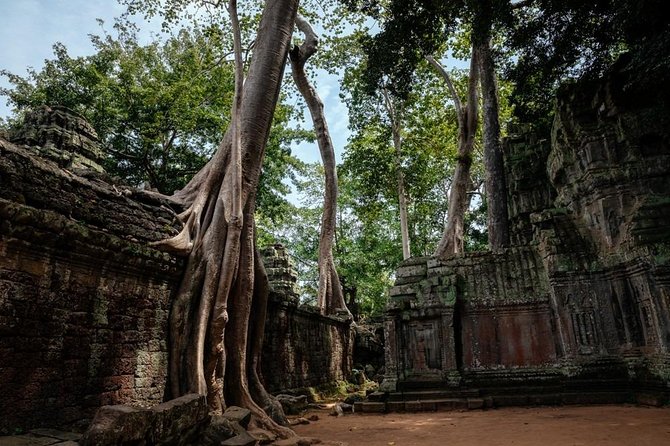 The Ultimate Angkor Wat Temple Private Day Trip - What the guide adds to the temples