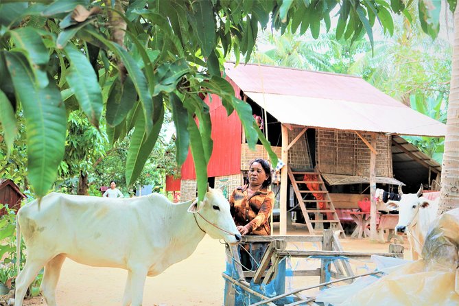 Tonle Sap Lake - Fishing Village & Flooded Forest - The flooded forest and the extra rowboat cost