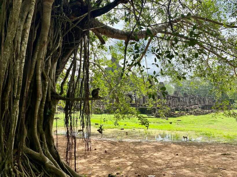 Trusty Tuk Tuk - Bayon finishes the temple circuit