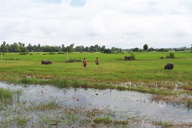 Tuk Tuk Journey: Exploring Rural Life and Silk Farm Craftsmanship - Who Will Enjoy This Tour Most