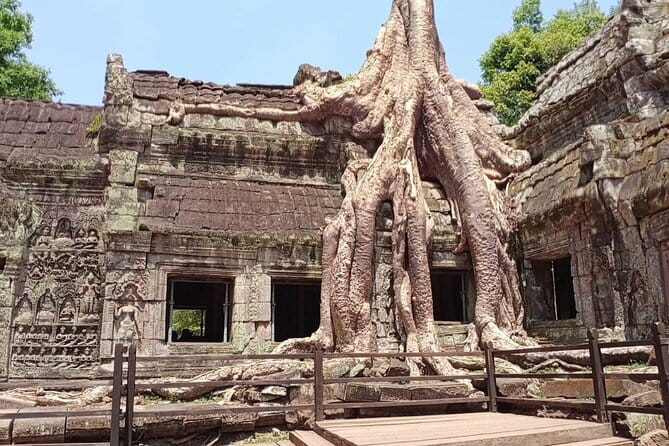 Two Day Tour, Taxi Phnom Penh to Siem Reap, Angkor Visit & Return - Skun Spider Market: a quick stop with a Cambodian identity