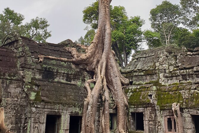 Two Days Angkor Tour - Artisans Angkor adds a modern Cambodian craft stop