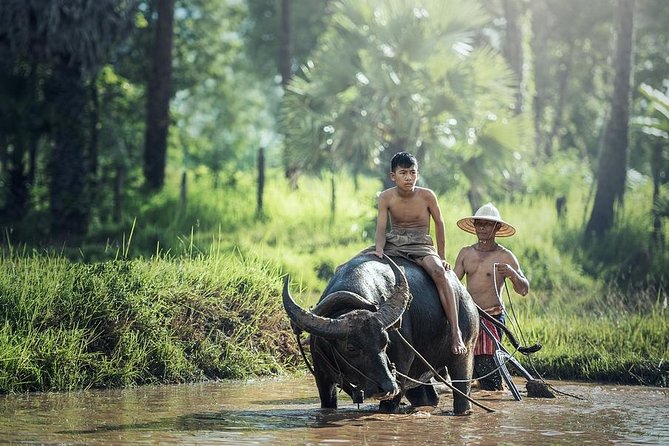 Village Life Tour from Siem Reap - Key points to know before you book