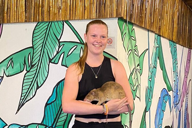 War Museum, Killing Field, and APOPO Hero RATs Tour - Satcha: meeting Cambodia through craft