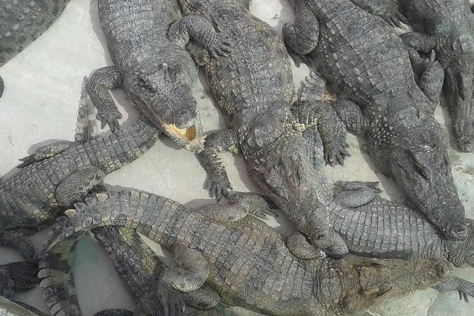 War Museum, Killing Field and Floating village ( Chong Kneas) Tour - Chong Kneas and Cambodia’s difficult recent past