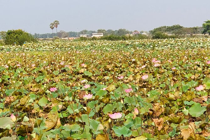 War Museum, Killing Field and Floating village ( Chong Kneas) Tour - What the guide adds to the day